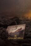 دانلود فیلم The Goldfinch 2019 سهره دانلود فیلم The Goldfinch 2019 سهره